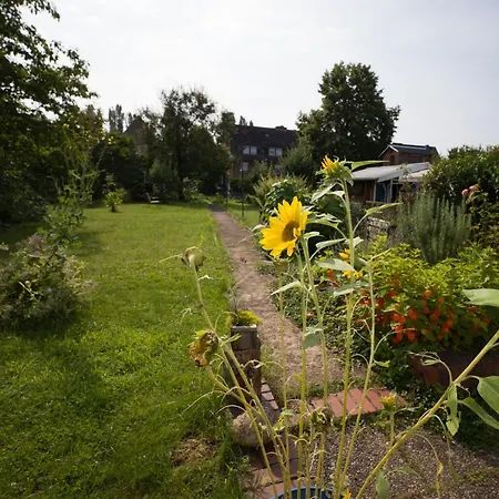 FeWo beim Schlafhaus Völklingen Exterior foto
